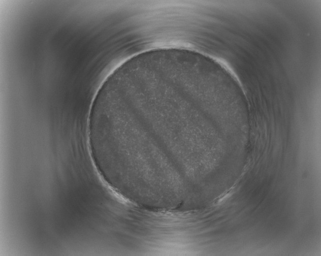 X0000063500895200602101856