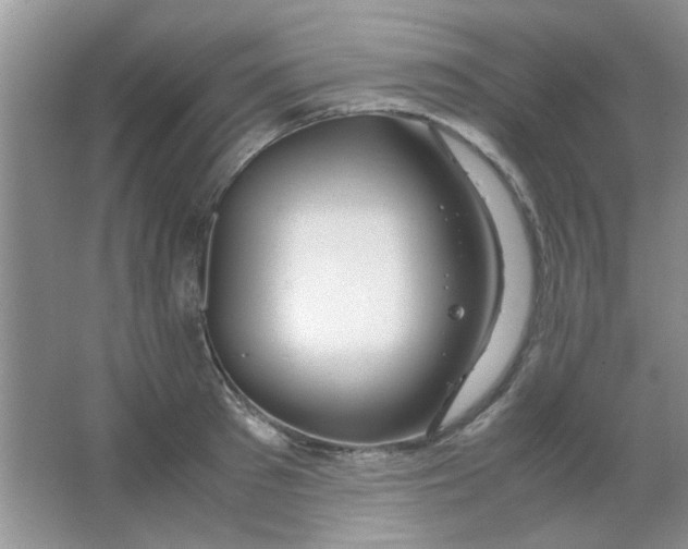 X0000063500897200602101856