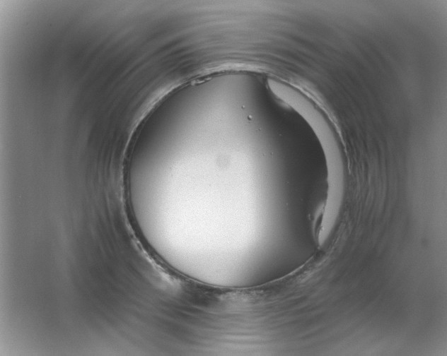 X0000063500898200602101856