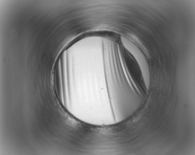 X0000063500900200602101856