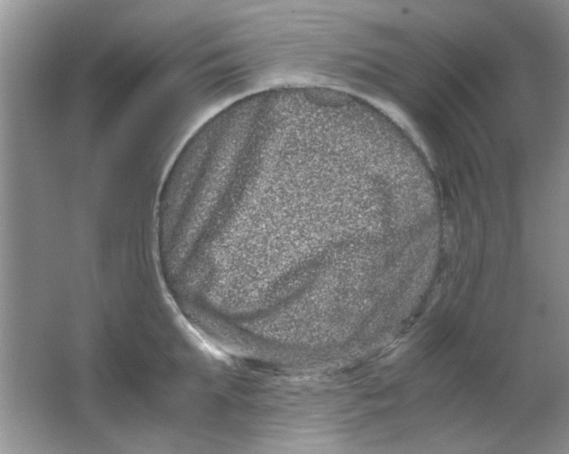 X0000063500903200602101856