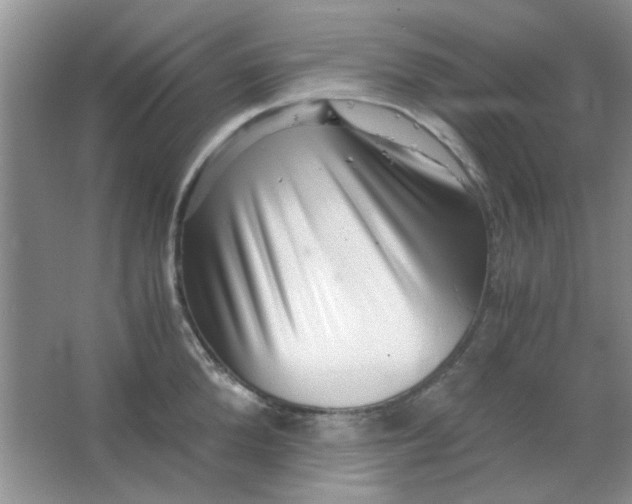 X0000063500904200602101856