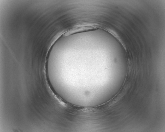 X0000063500906200602101856