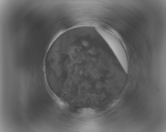 X0000063500907200602101856