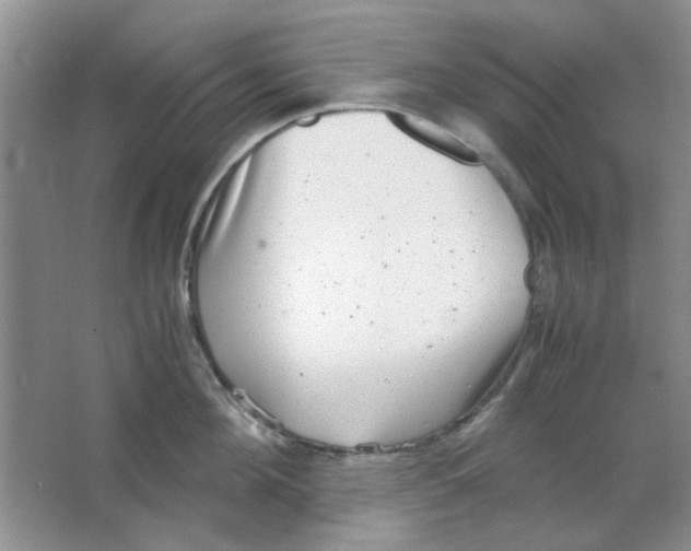 X0000063500908200602101856