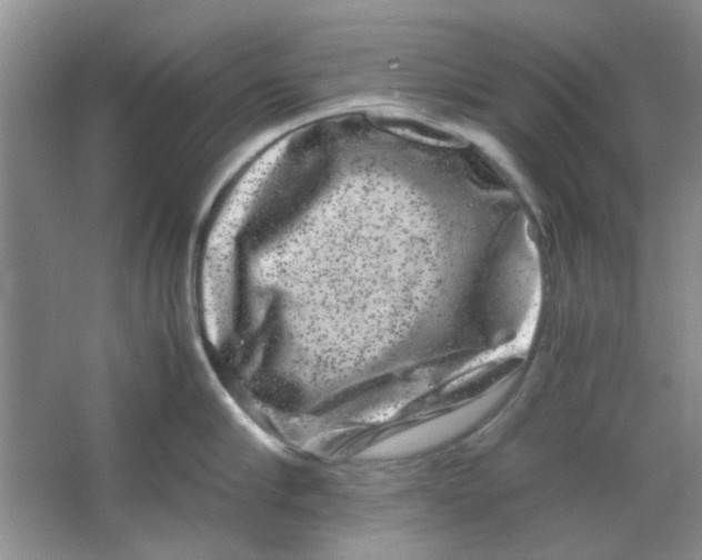 X0000063500910200602101856