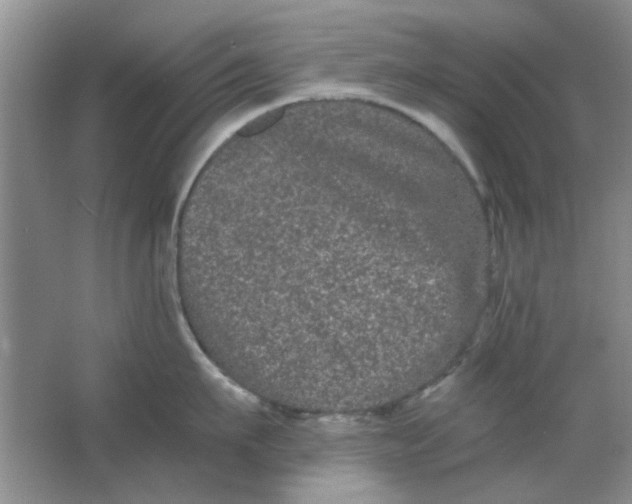 X0000063500911200602101856