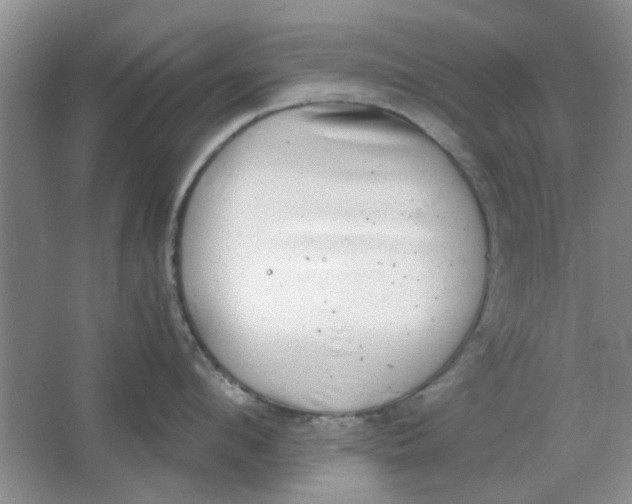 X0000063500912200602101856