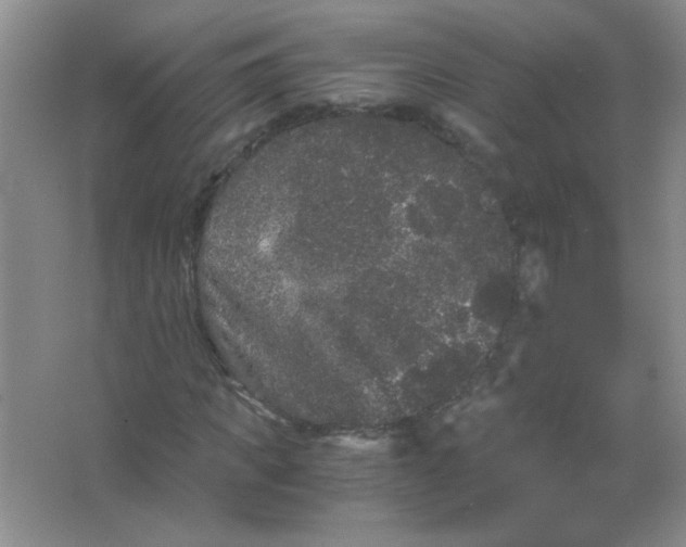 X0000063500917200602101855