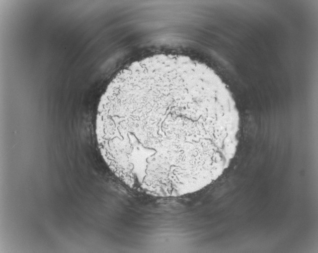 X0000063500918200602101855