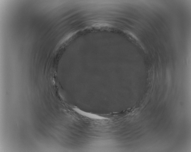 X0000063500919200602101855