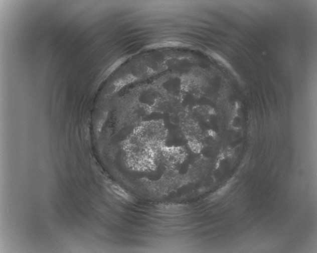 X0000063500921200602101855