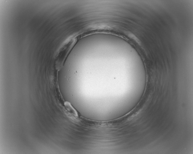 X0000063500922200602101855