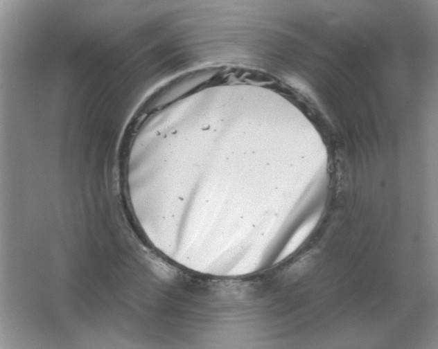 X0000063500924200602101855