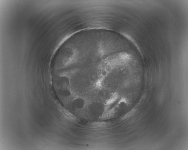 X0000063500925200602101855