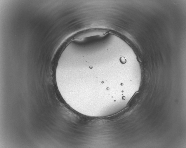 X0000063500926200602101855