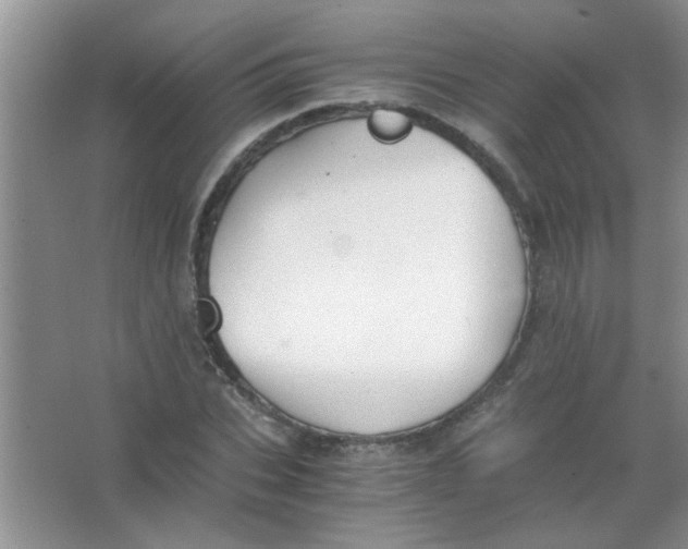 X0000063500927200602101855