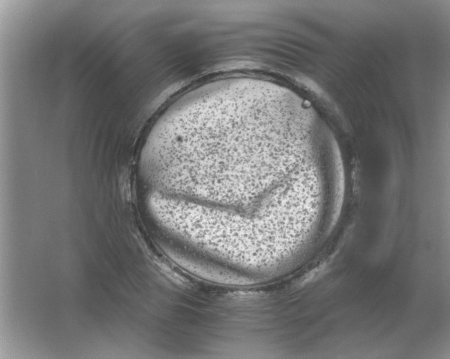 X0000063500929200602101855