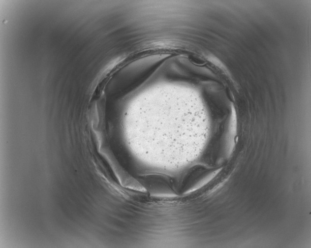 X0000063500930200602101855