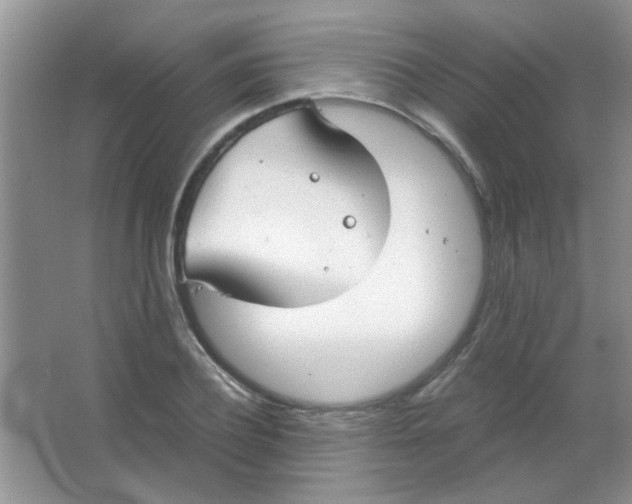 X0000063500932200602101855