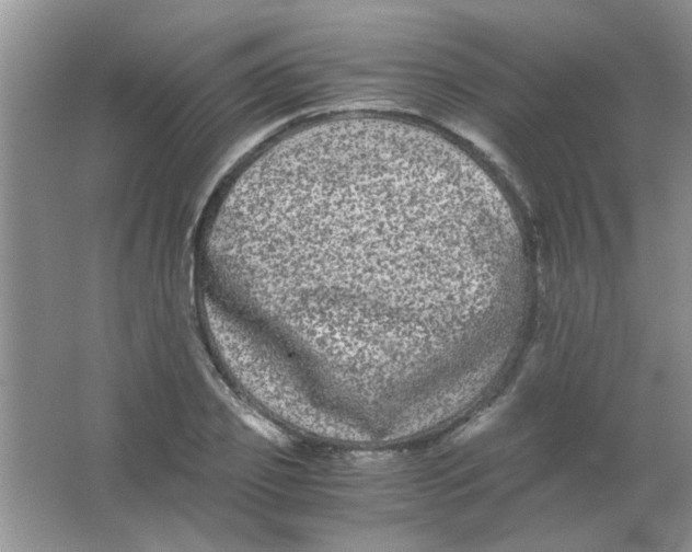 X0000063500933200602101855