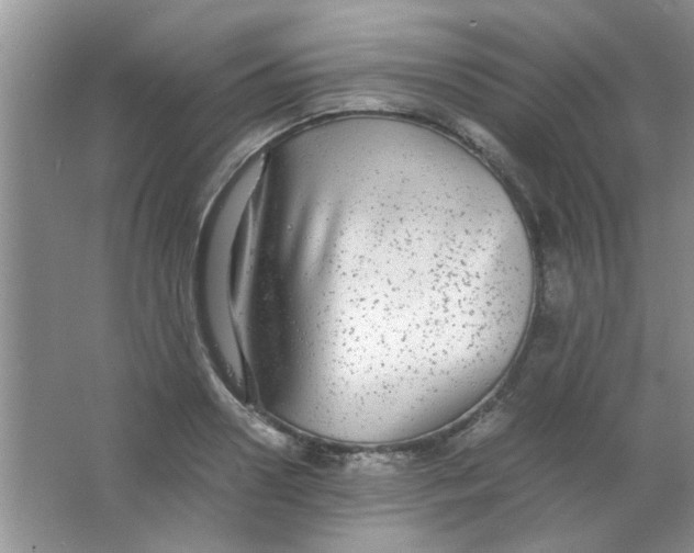 X0000063500938200602101855