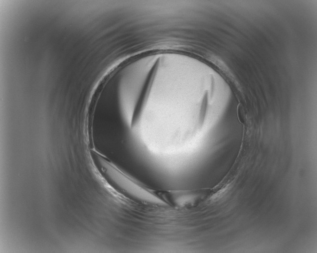 X0000063500939200602101855