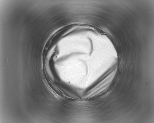 X0000063500940200602101855