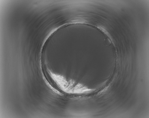 X0000063500941200602101855