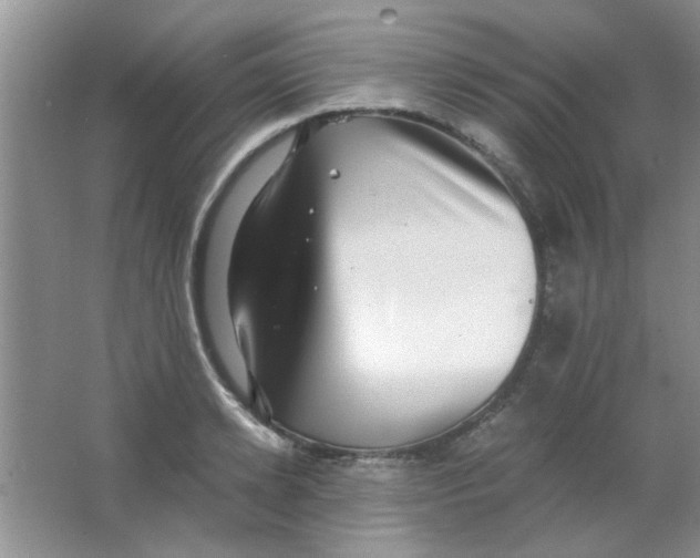 X0000063500942200602101855