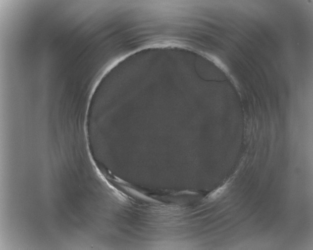 X0000063500943200602101855