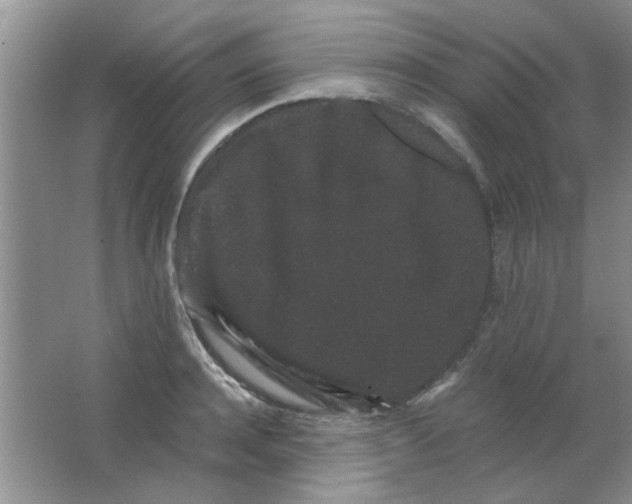 X0000063500944200602101855