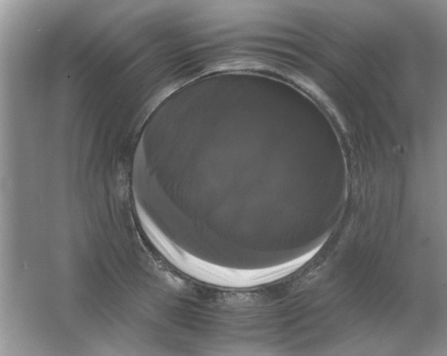 X0000063500945200602101855