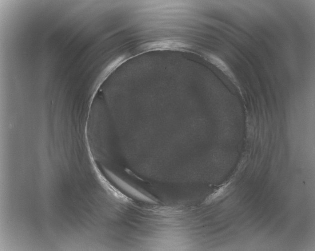 X0000063500946200602101855