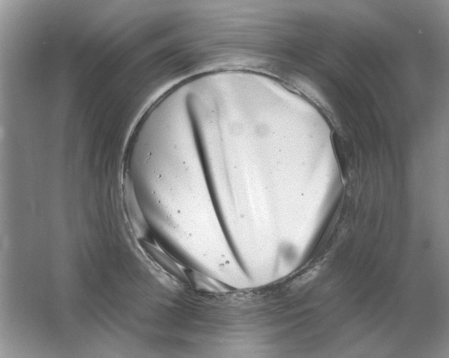 X0000063500948200602101856