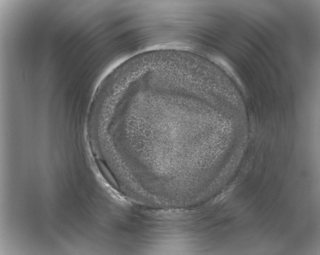 X0000063500952200602101856