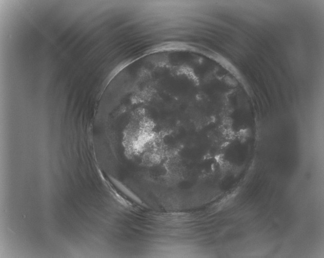 X0000063500953200602101856