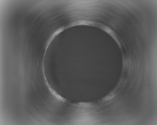 X0000063500954200602101856