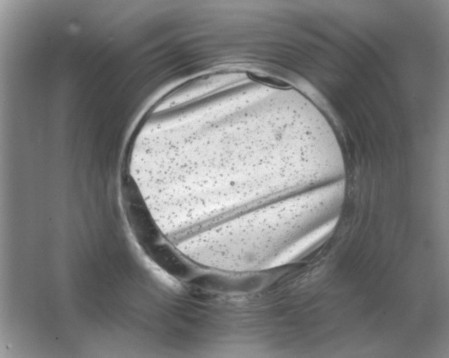 X0000063500955200602101856