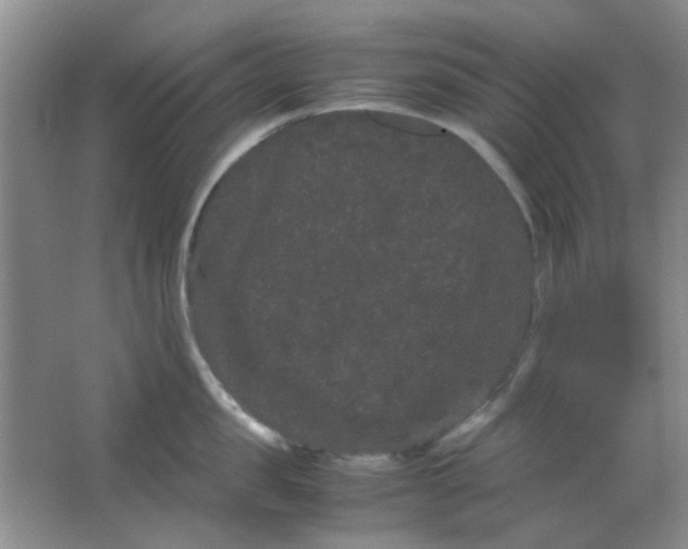 X0000063500957200602101856