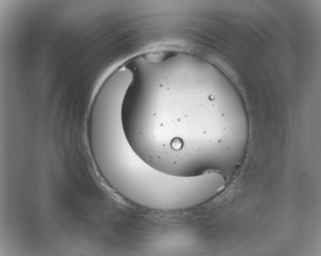 X0000063500960200602101856