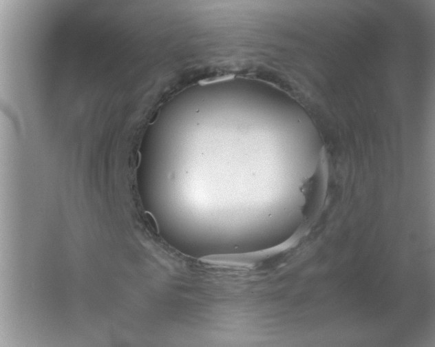 X0000063500961200602101855