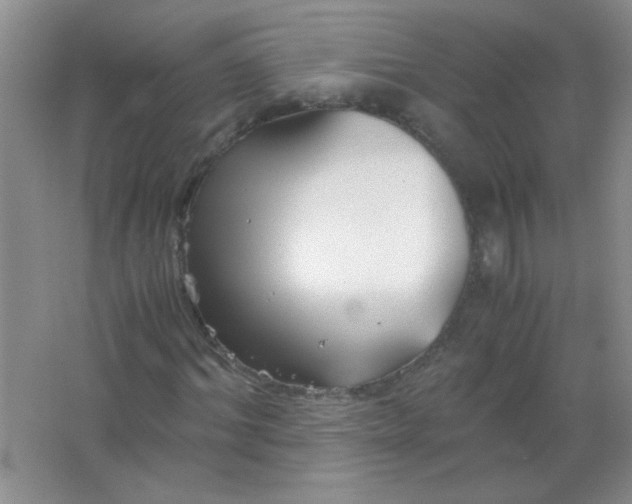 X0000063500964200602101855