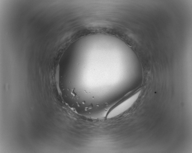 X0000063500965200602101855