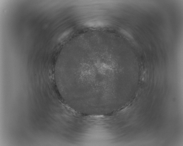 X0000063500966200602101855