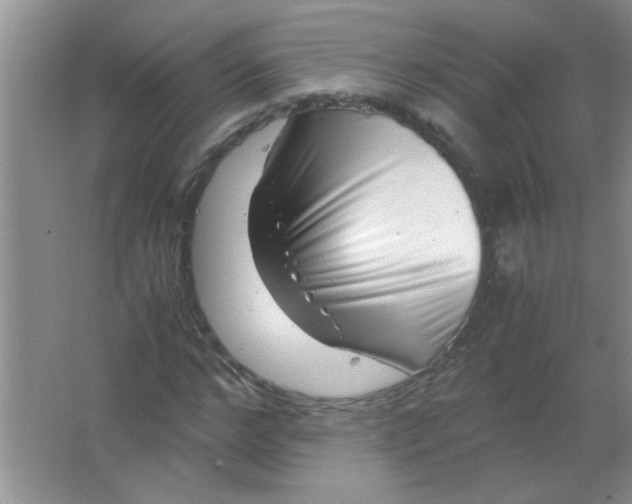 X0000063500968200602101855