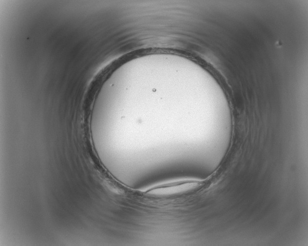 X0000063500971200602101855