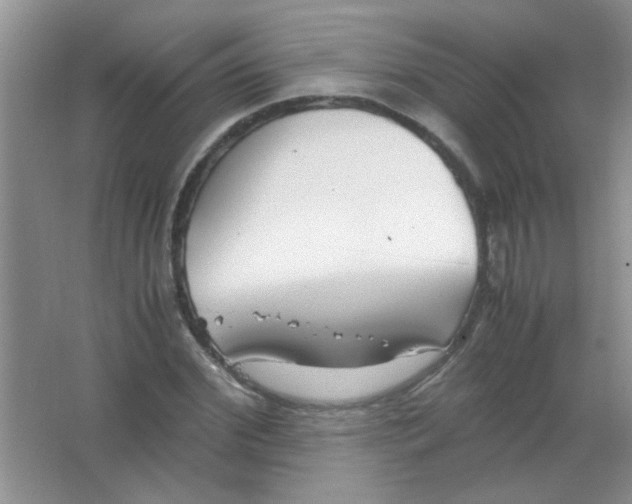 X0000063500972200602101855