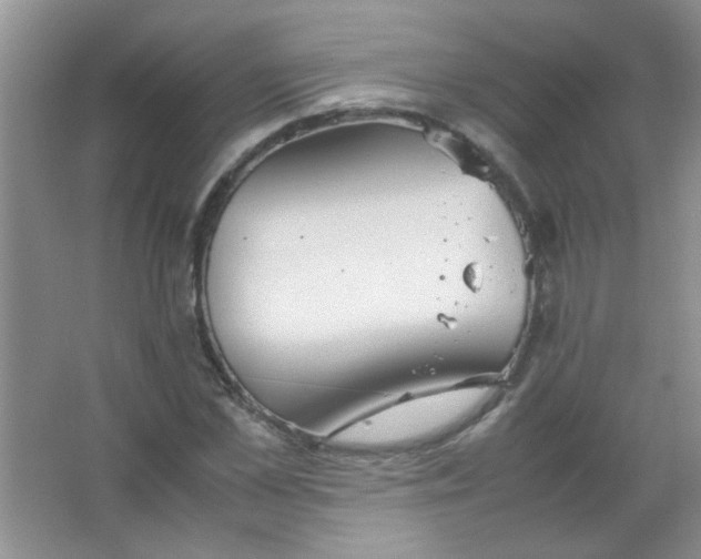 X0000063500973200602101855