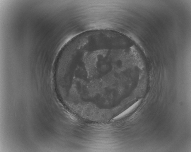 X0000063500975200602101855